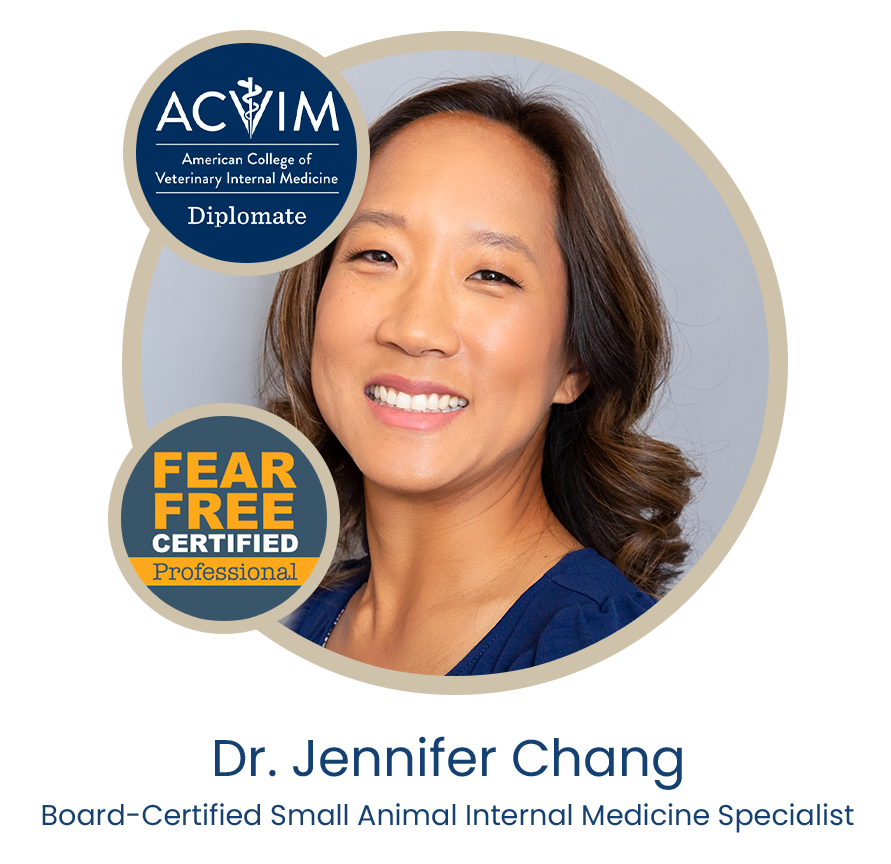 Dr. Jennifer Chang, veterinarian at Oliver Animal Hospital in Austin, TX
