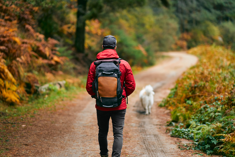 Hiker walking along a scenic nature trail surrounded by trees and greenery during an outdoor adventure hike.