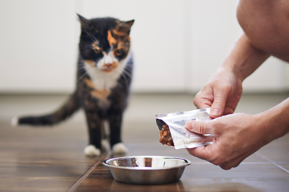 A person's hands opening a silver foil pouch to pour wet food into a metal bowl, while a tortoiseshell cat waits expectantly in the background on a tiled kitchen floor.