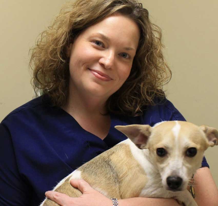 Veterinarian